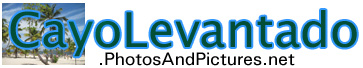 cayo levantado pictures and photos site banner