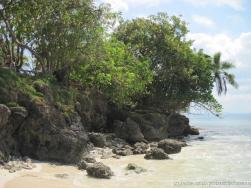Rocks and trees at one end of Cayo Levantado.jpg