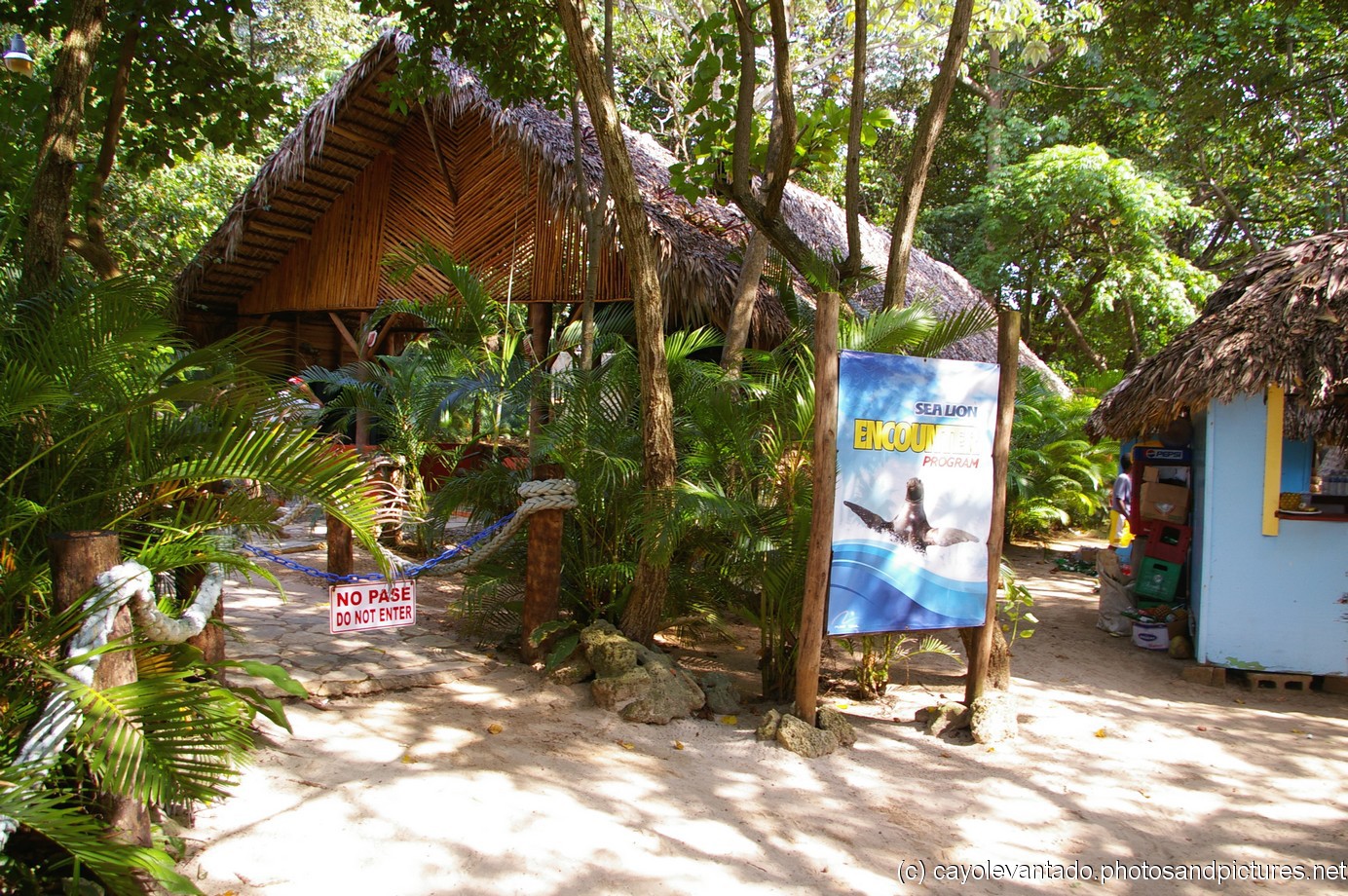 Sea Lion encounter sign at Cayo Levantado.jpg