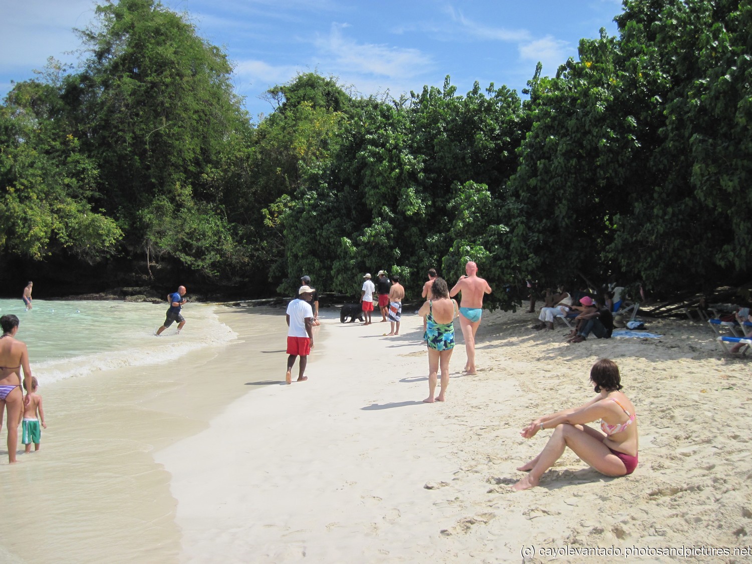 Seal runs ashore at Cayo Levantado.jpg