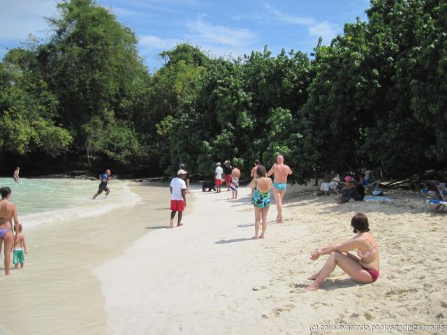 Seal runs ashore at Cayo Levantado.jpg