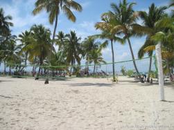 Volleyball net at Cayo Levantado.jpg