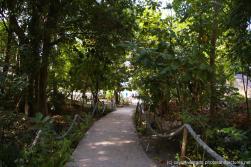 Walkway to the beach at Cayo Levantado.jpg