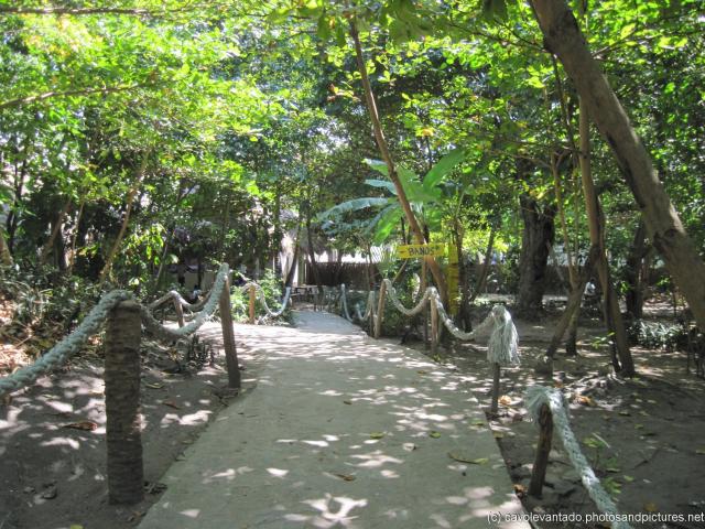Walkway to the restrooms at Cayo Levantado.jpg