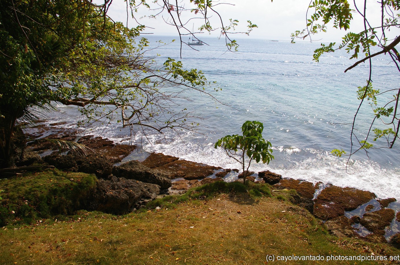 Waves hit the Cayo Levantado shores.jpg