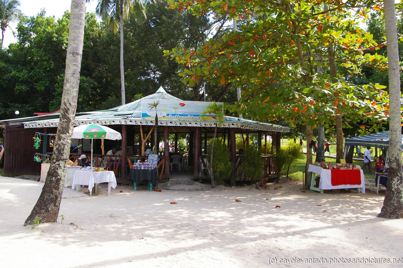 Ballena Blanca at Cayo Levantado.jpg