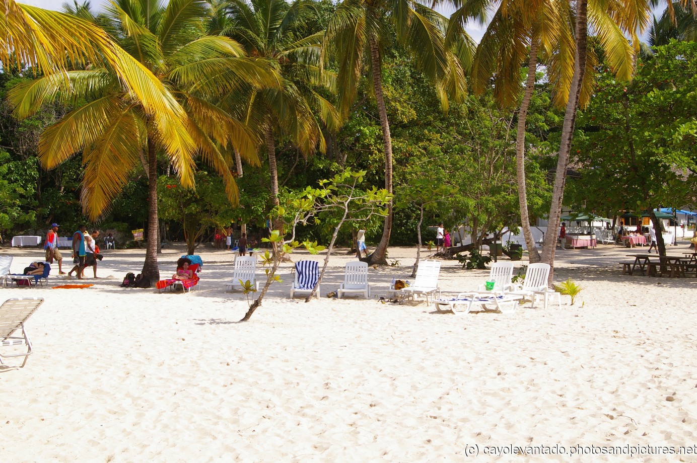 Cayo Levantado beach view from water side.jpg