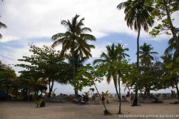 Trees and beachgoers at Cayo Levantado.jpg