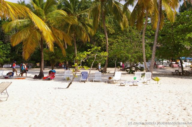 Cayo Levantado beach view from water side.jpg