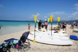 Cayo Levantado Beach Photos and Pics
