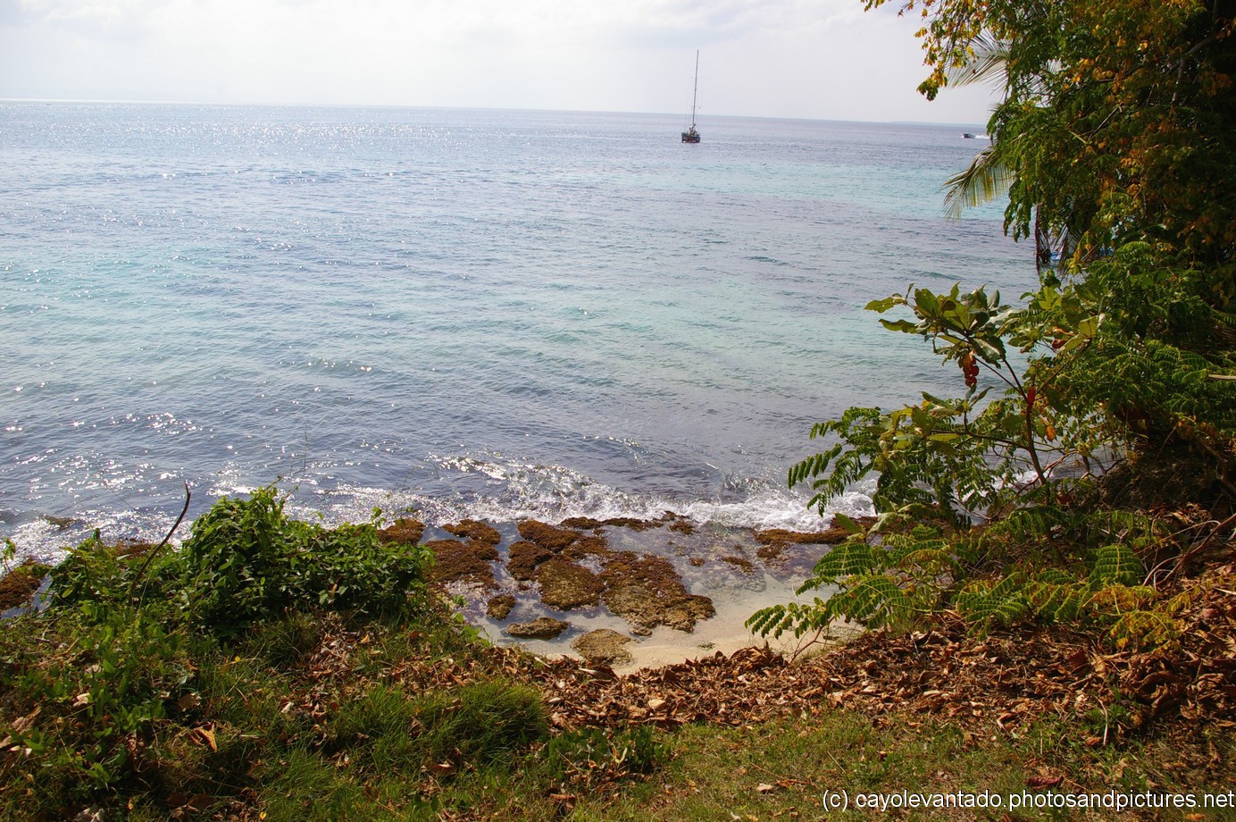 Cayo Levantado looking out to the waters from non-beach area.jpg