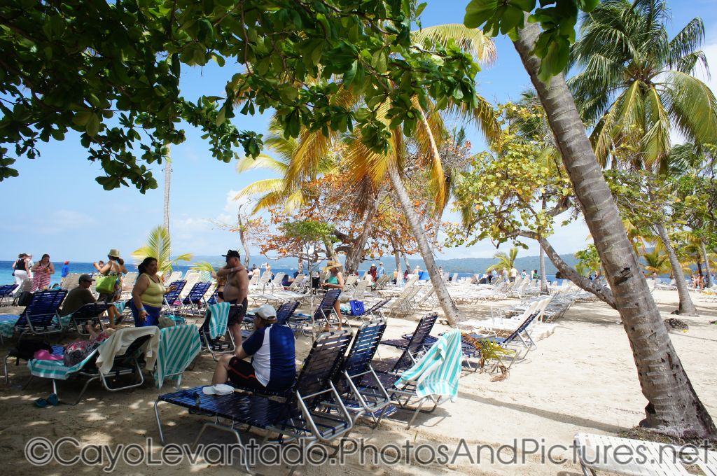 Beach chairs and palm trees at Cayo Levantado.jpg