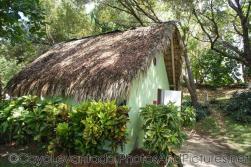 Cayo Levantado beach bathroom.jpg