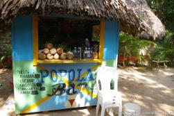 Cayo Levantado Popola Bar and Fresh Pinapples.jpg