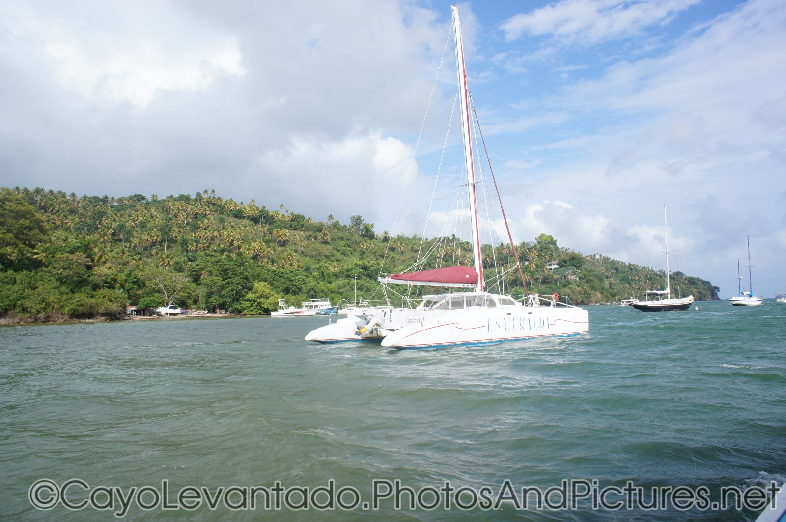 Catamaran off of the caost of Samana.jpg
