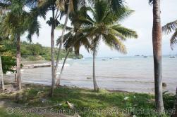 Palm trees near ocean at Samana.jpg