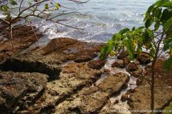 Eroded rocky area next to ocean waters at Cayo Levantado.jpg